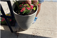 First day of Blackstone Millville Garden Club - May 17-2022