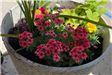 First day of Blackstone Millville Garden Club - May 17-2022
