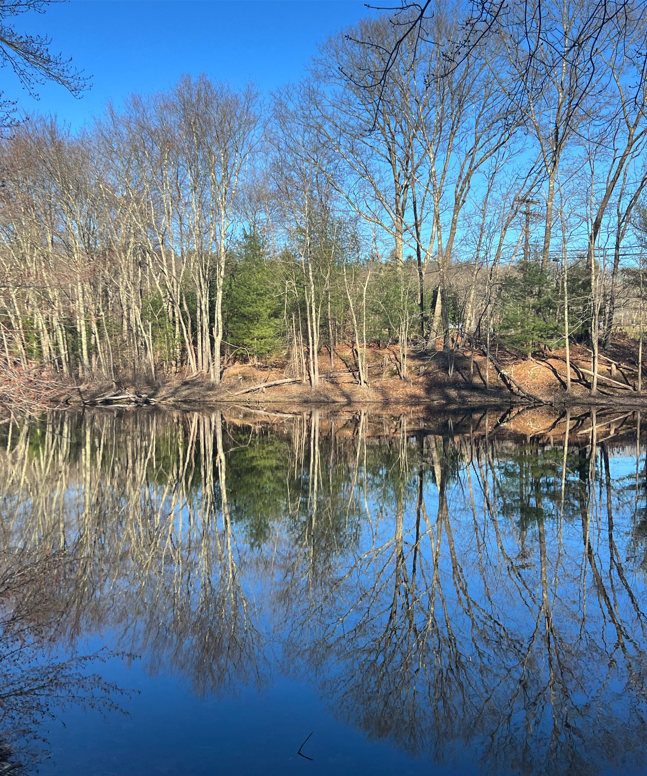 Bill Capen - Spring Saturday on Fox Brook