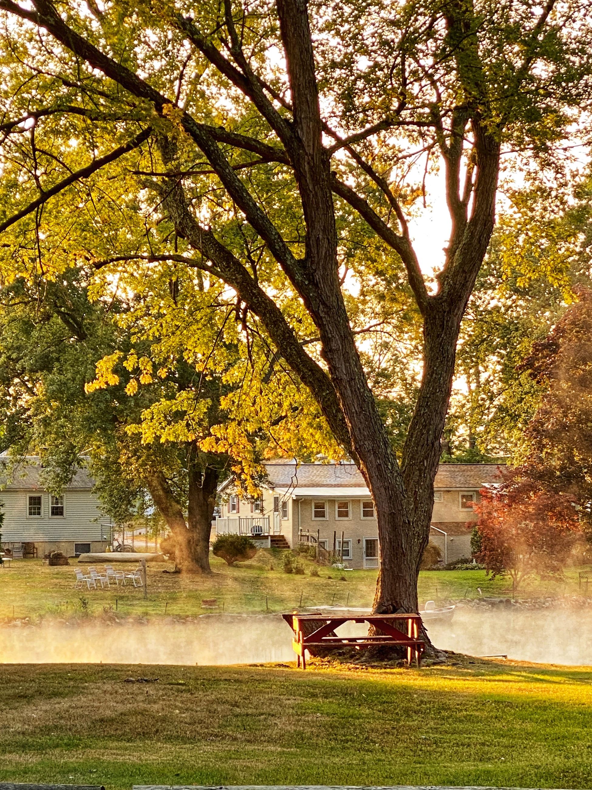 Erica Bissonnette - A serene Misty Morning