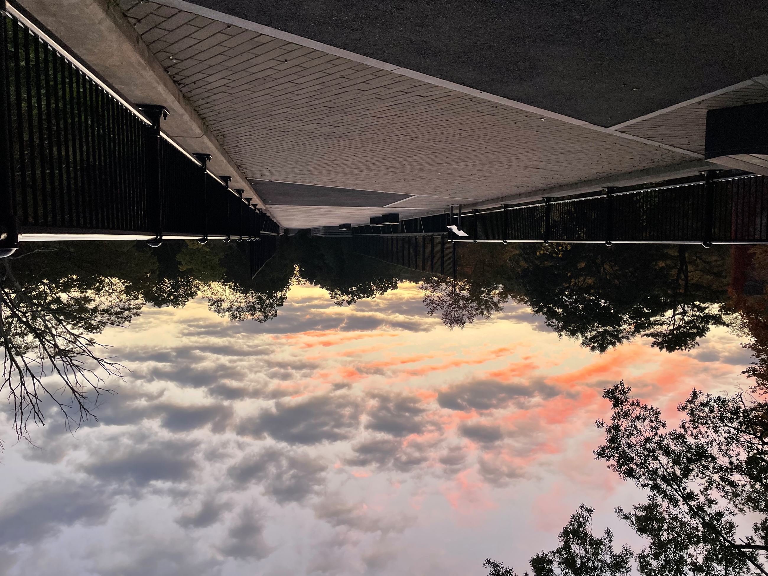 Nelson Pereira - BLACKSTONE BIKE PATH AT SUNSET