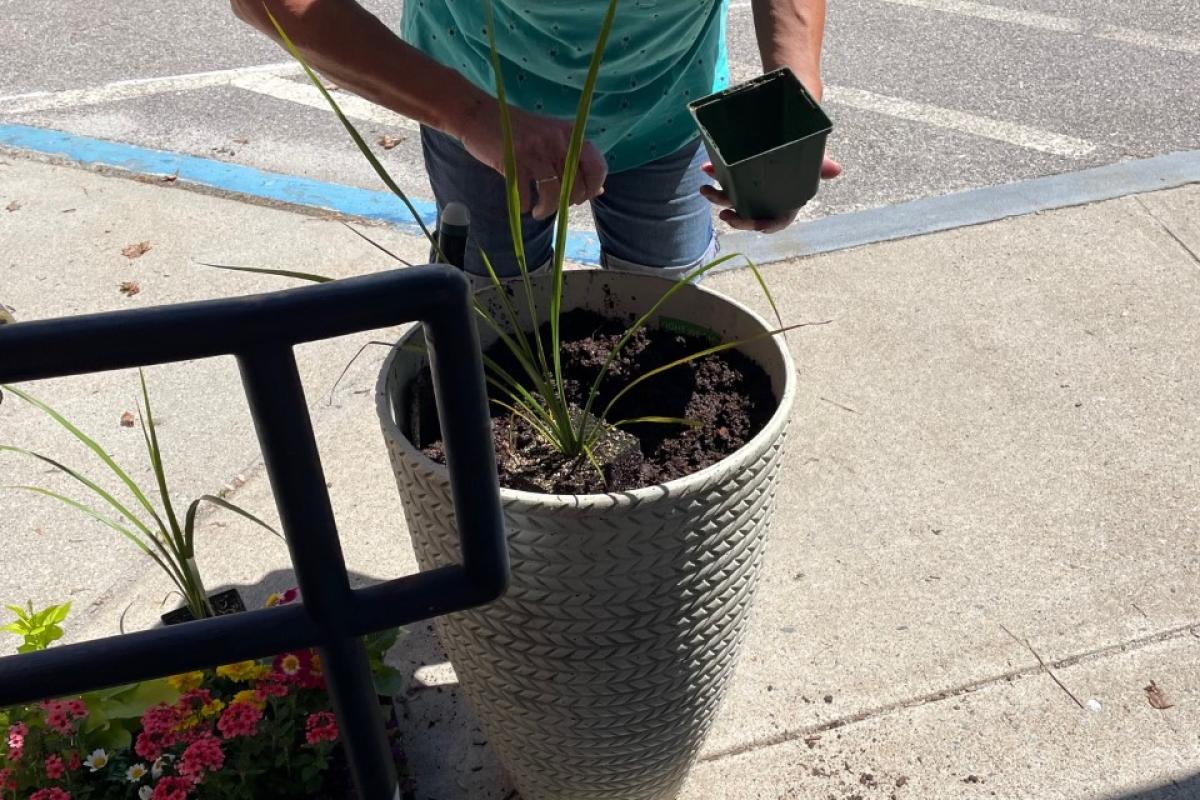 First day of Blackstone Millville Garden Club - May 17 2022
